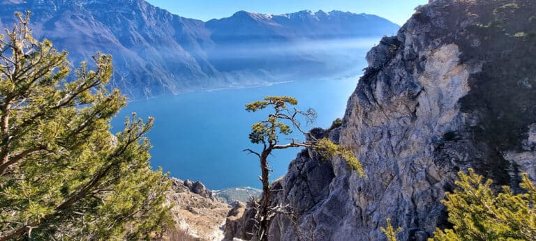 Limone_2