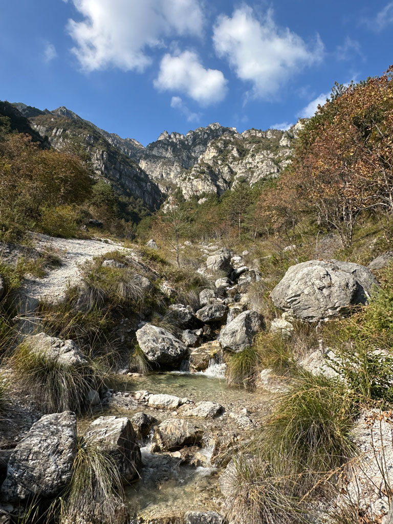 limone_1