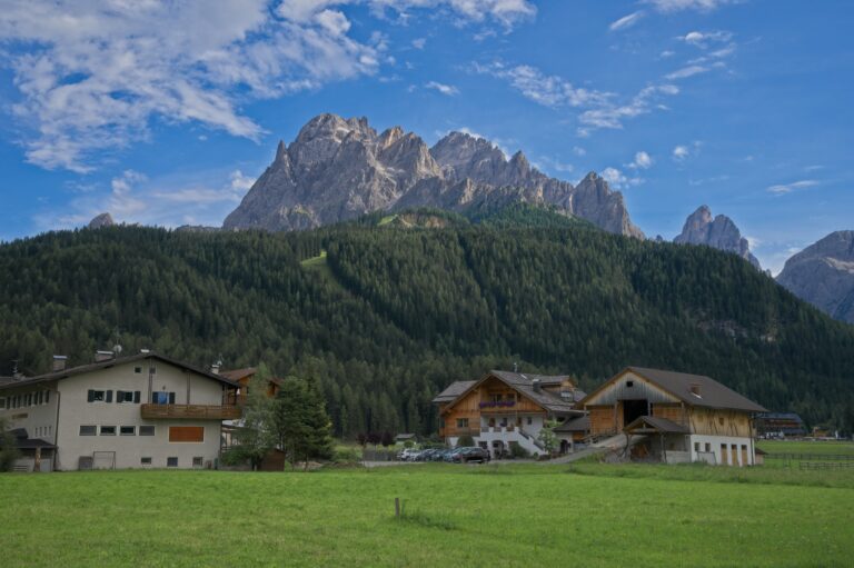 pexels-alessandro-bonfiglio-2467683-5443585